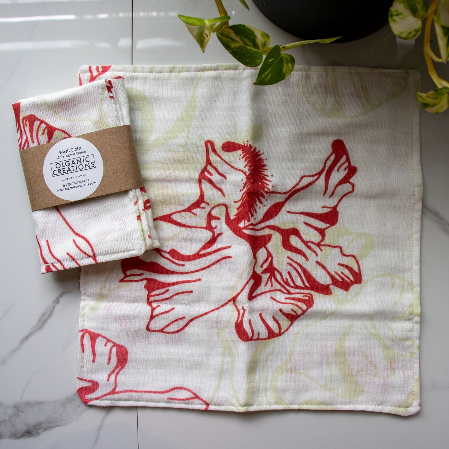 Wash Cloth - 100% Organic Cotton